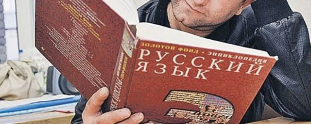 МВД РФ предложило ввести скидку на НДФЛ до 50% для мигрантов за уровень русского языка