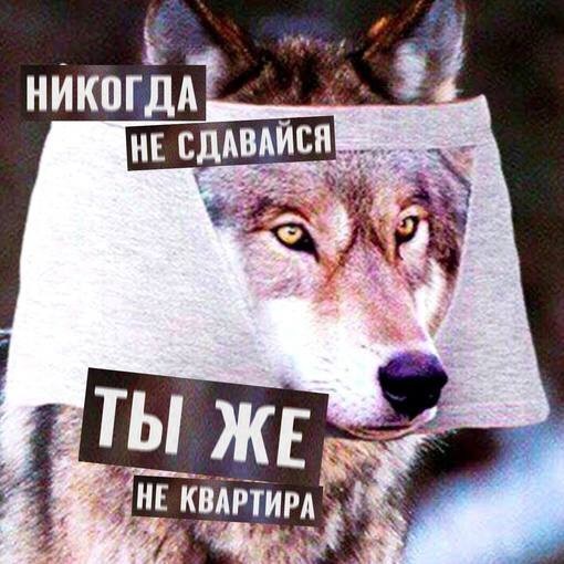Всего понемногу, от 21.05