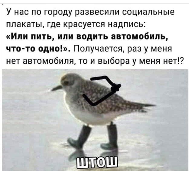 Картинки и мемы, всяко разно - 183