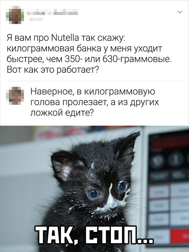 Весёлый полтишок 23.07.23