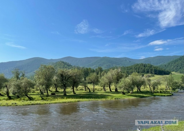 Знакомая вернулась с Алтая, фотоотчет