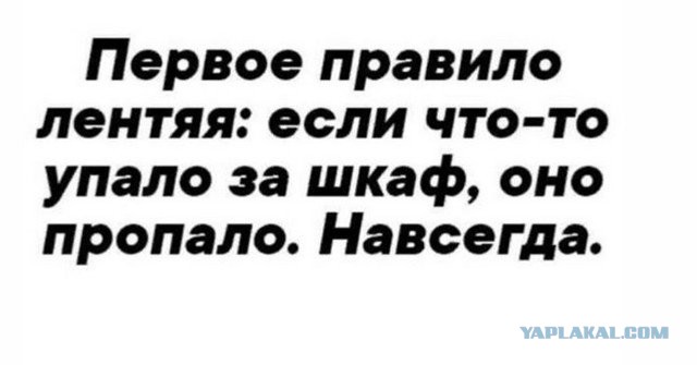 Отряд быстрого деградирования