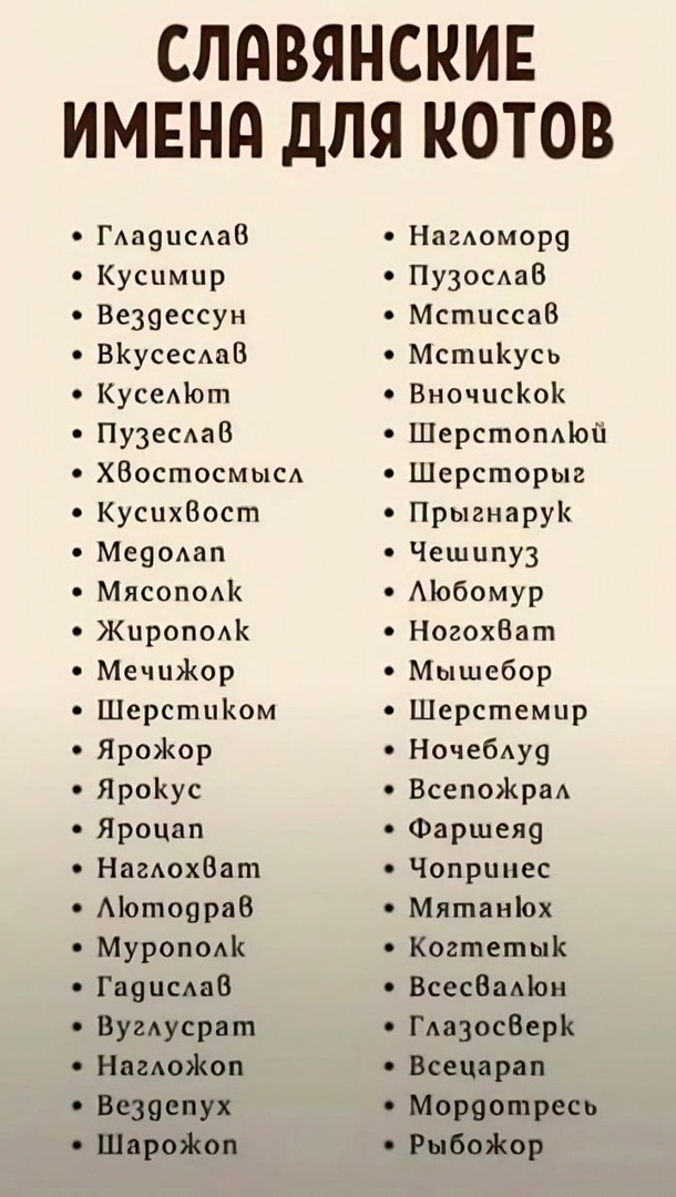 Среда пришла - неделя прошла, дорогие деграданты