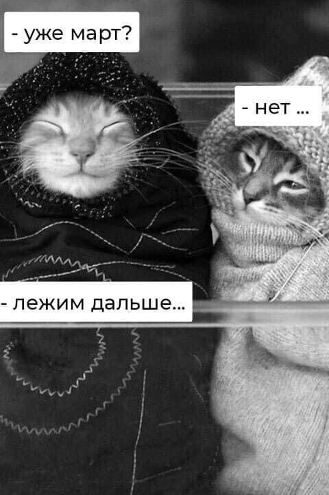 Так себе картинки  07.02.24