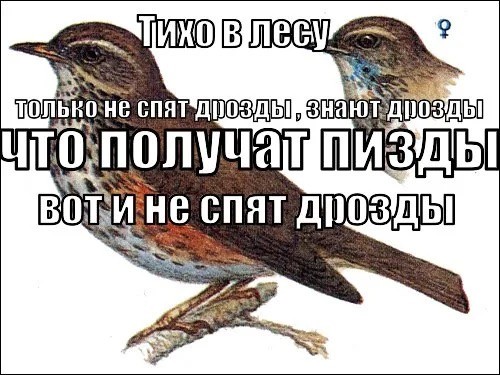 В первый раз с таким столкнулся