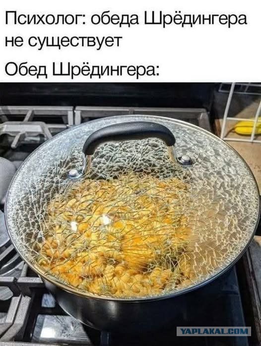 Веселые картинки в понедельник (23.12)