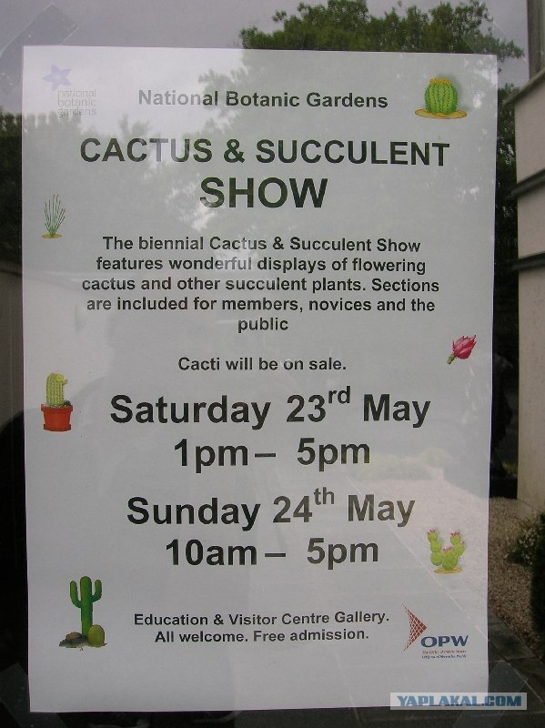 Выставка кактусов в Дублине.