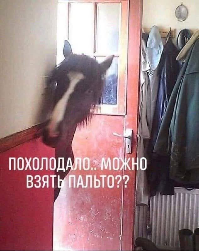 Из мира деградации - 13