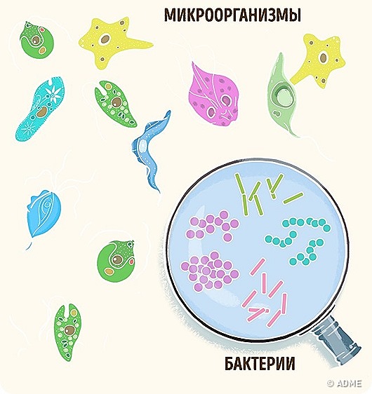 Иногда это мы путаем