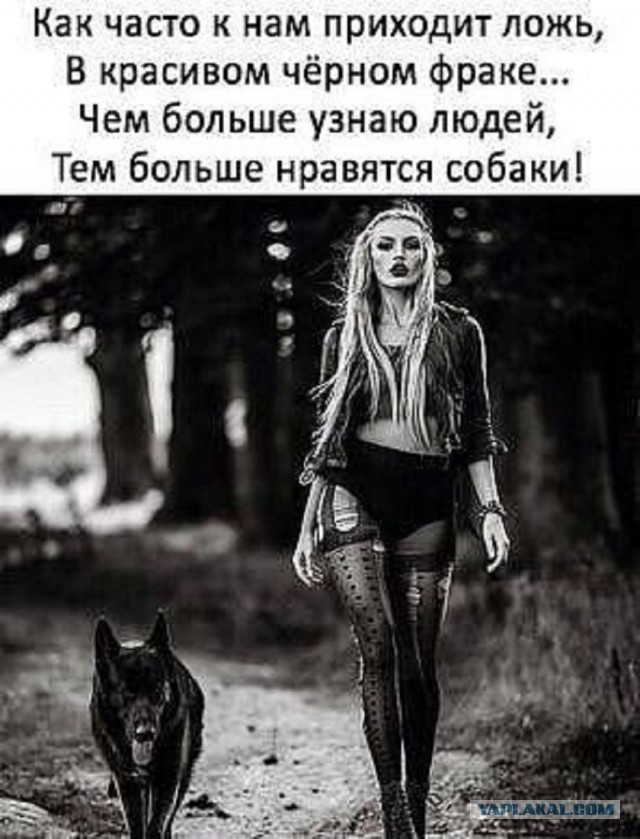 Так себе картинки 28.03.25