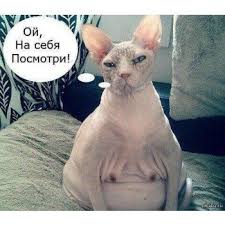 Ищу МУЖА!