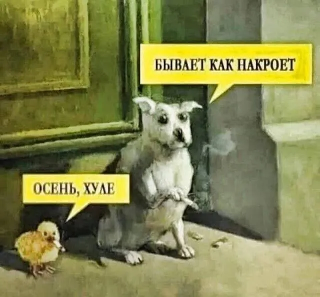 Сундук деграданта! Выпуск номер 8