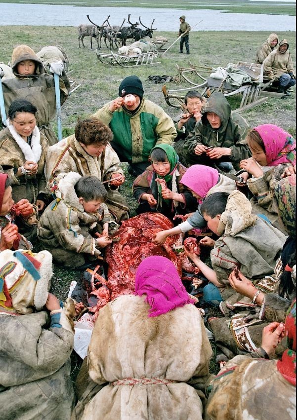 Картинки для деградации 74 (разной степени свежести)