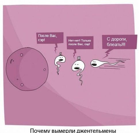 Фермер пережил клиническую смерть и рассказал о загробном мире
