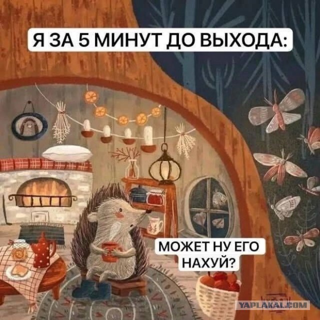 Картинки для деградации 88 (разной степени свежести)