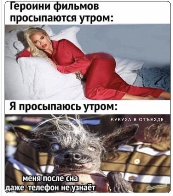 Субботние картинки