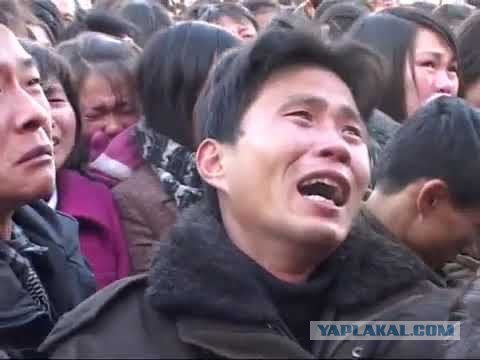 Какая погода сейчас в северной Корее?