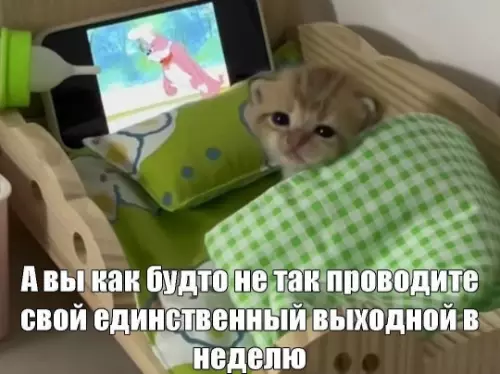 Картиночки, баянчики 13 марта