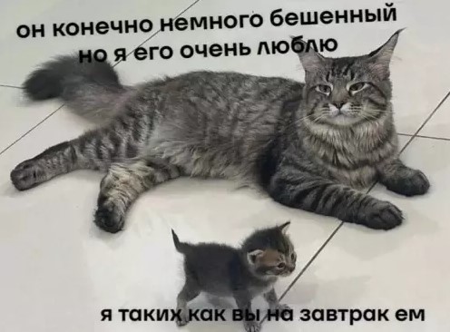 Котямбосы