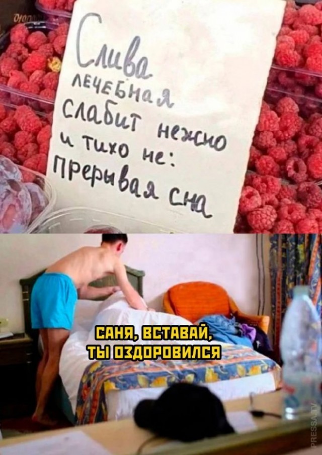 Веселые картинки в пятницу (05.06)