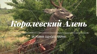 Баба-дура