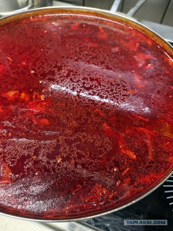 Трактат о борще без мяса и на воде