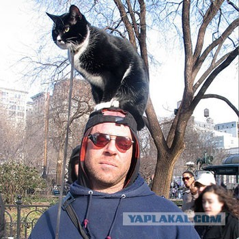 Я не буду молчать!