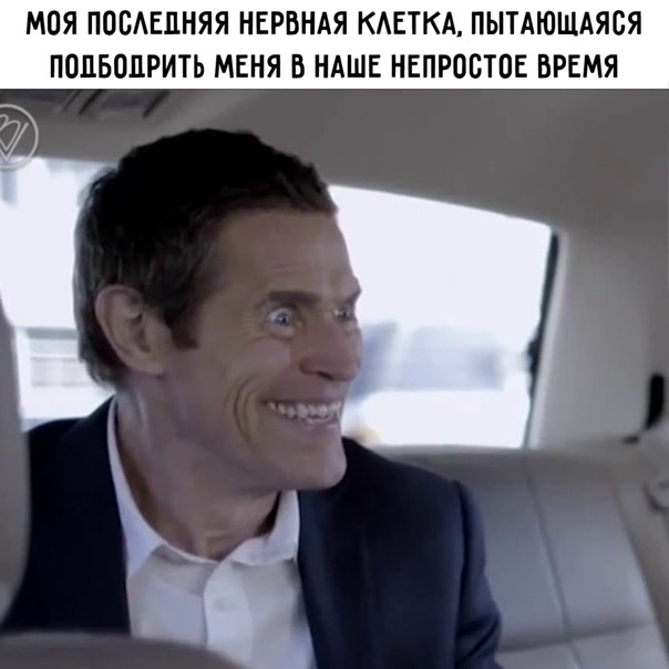 Что вы видите на фото? Далее в теме будет научная статья и ответ на вопрос
