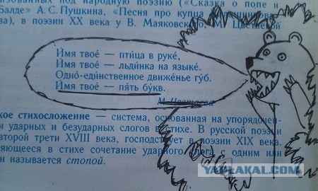 Злата хочет хорошо устроиться