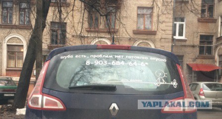 Порадовала
