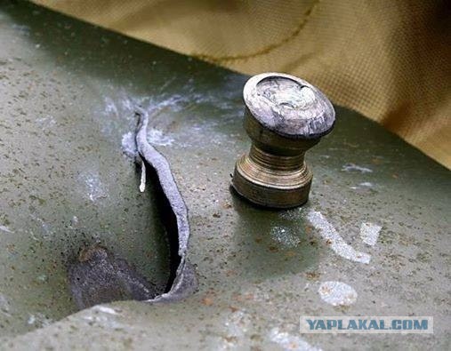 Бойцы украинского "Беркута" просят убежища