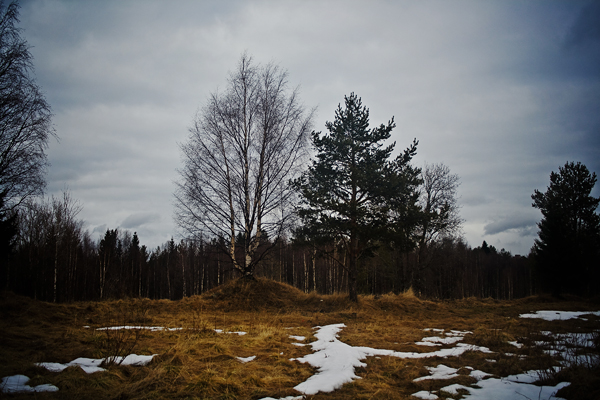 Скоро зима, товарищи !