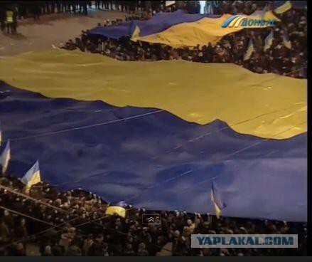 Митингующий Донецк