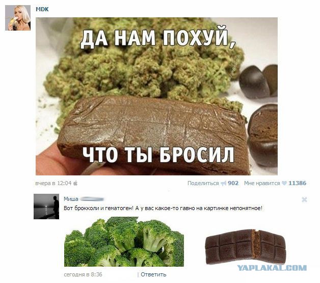 Очередная подборка смешных высказываний