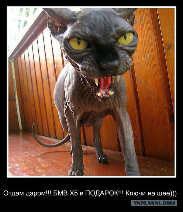 Подборка забавных фотографий