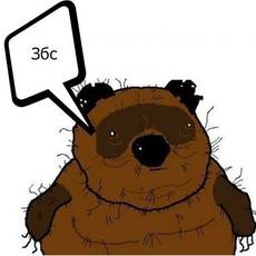 Тимошенко коксовый торчек