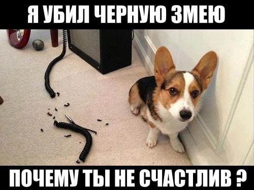 Забавности в стиле по-тяжелее