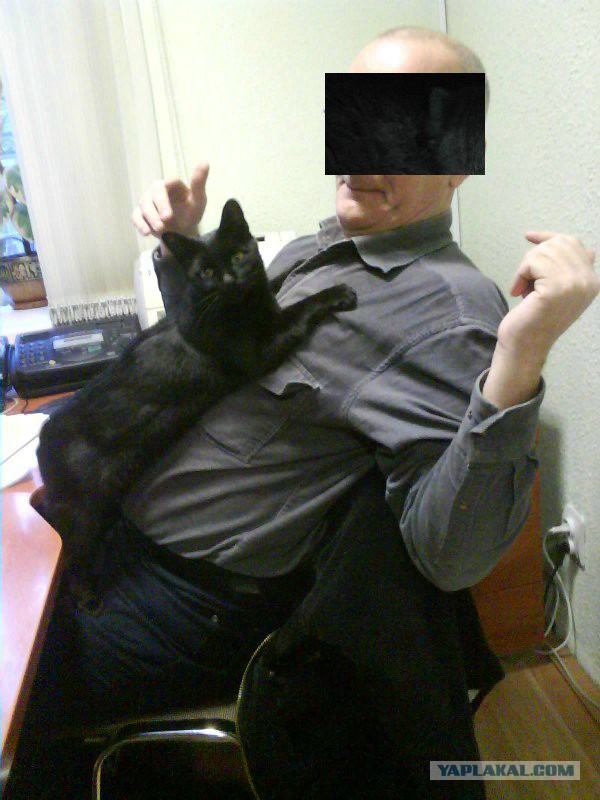 Все умрут, но некоторые не сегодня