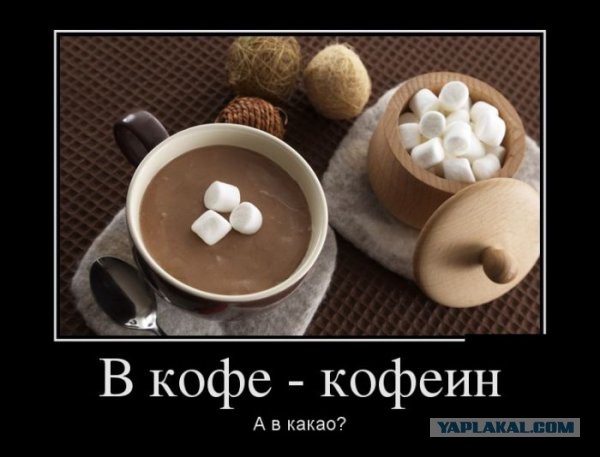 Подборка прикольных фото.