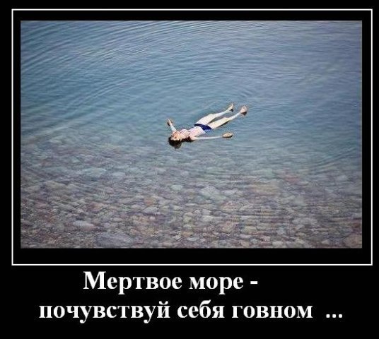Улыбнуло