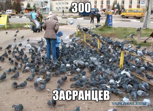 Комментарии и картинки из соц. сетей