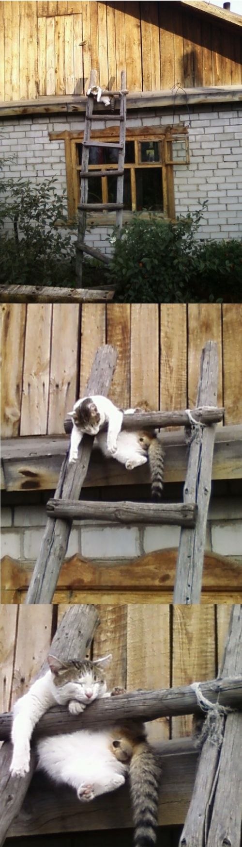 Будьте естественны на фотосессии