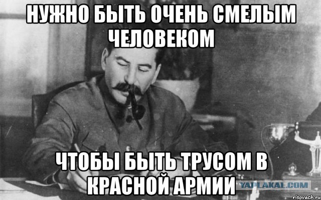 Прикольные пикчи