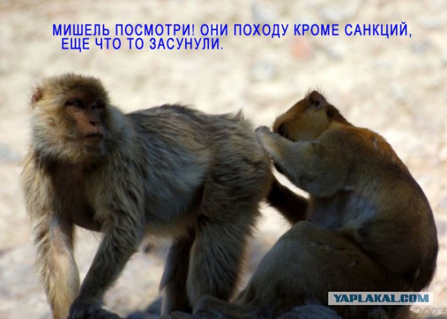 Обама назвал условие отмены санкций против России
