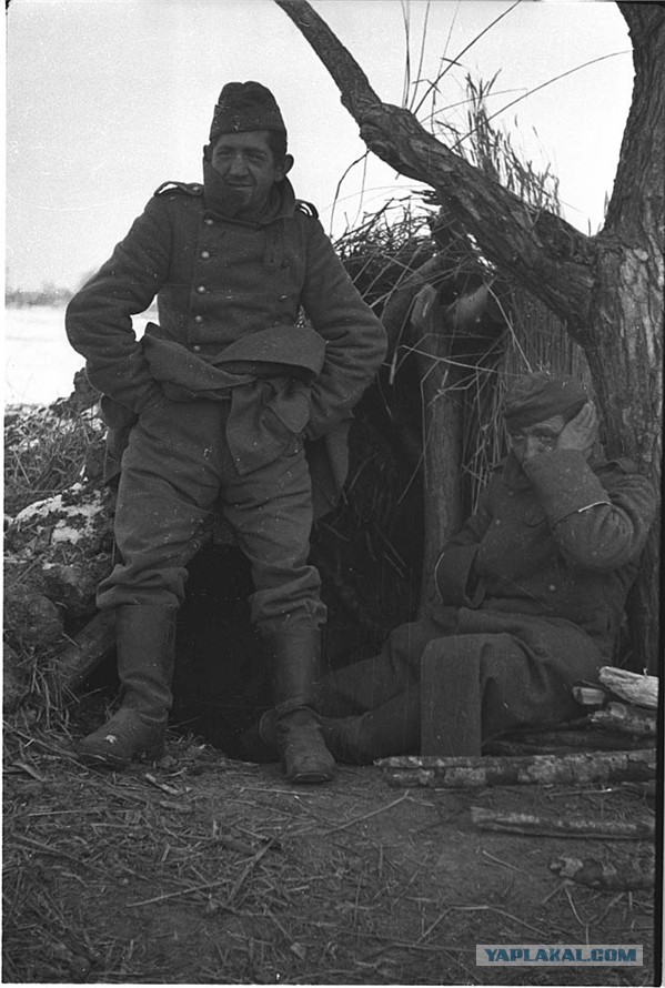 1941 год. Боль и мужество. Фото.