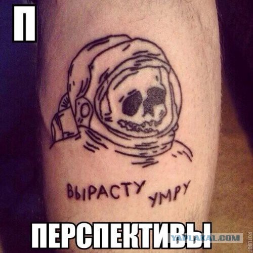 Весёлые картинки