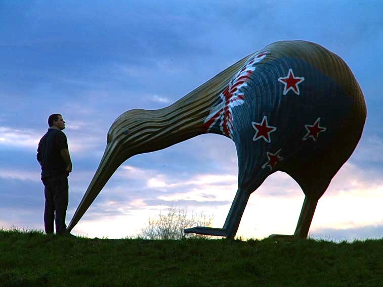Kiwi orchestra. Памятник киви в новой Зеландии. Киви скульптура синий. Киви символ новой Зеландии фото. Птица киви фото иллюстрация.