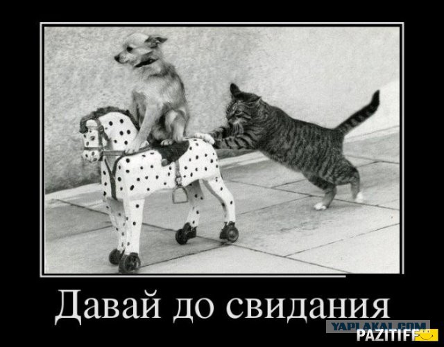 Украинские форумы негодуют :D
