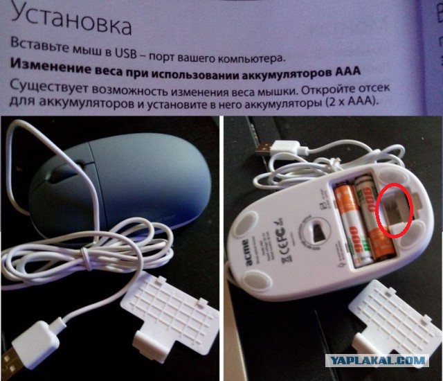 Чудо китайская мышь