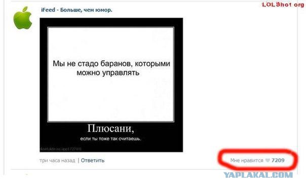 Смешные комментарии из социальных сетей